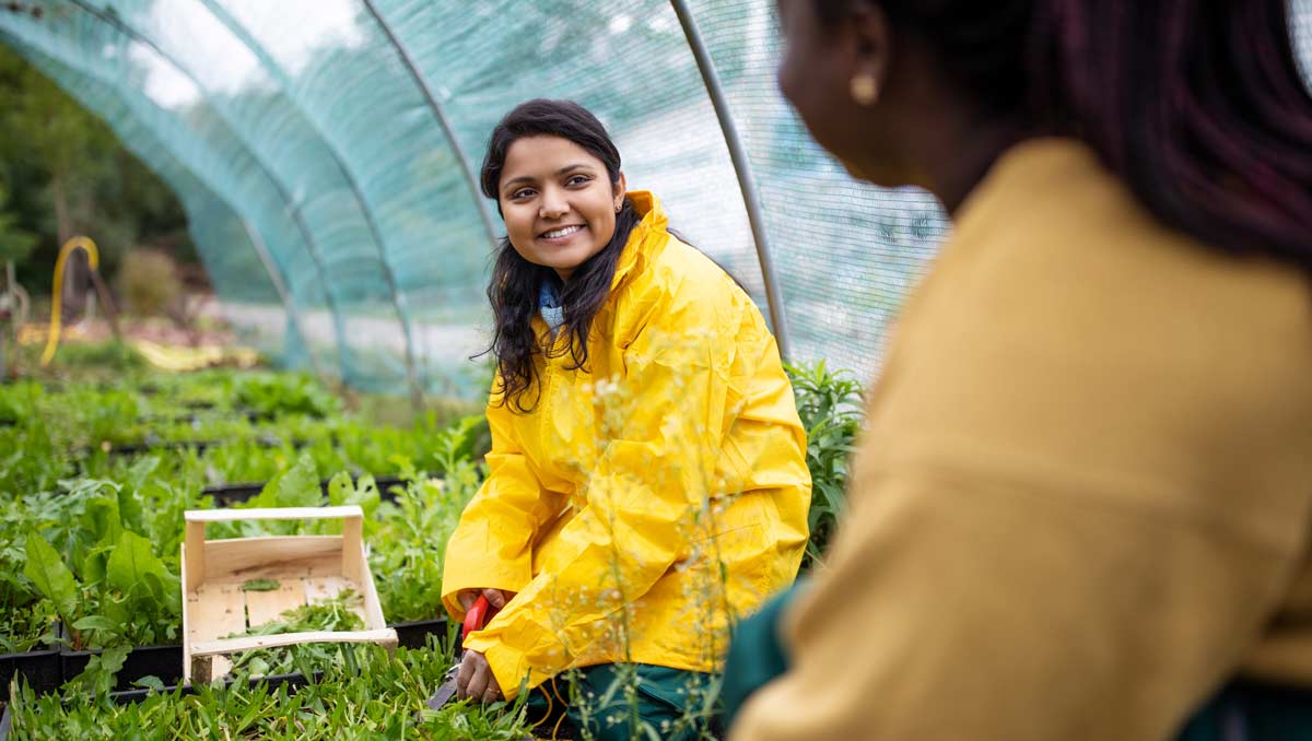 Supplier working in green house wearing yellow coat.